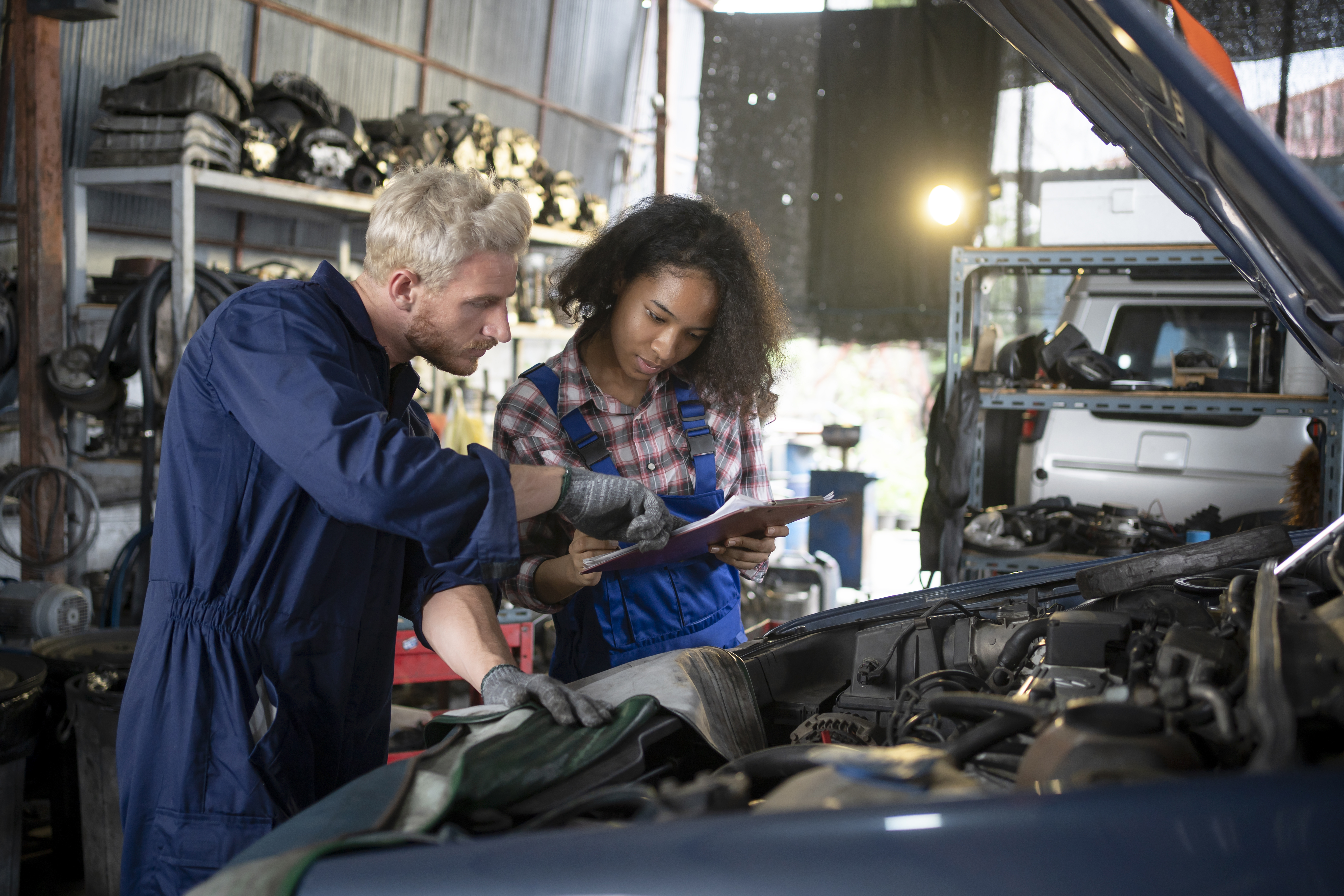 Transportation, Distribution and Logistics Occupational Pathway