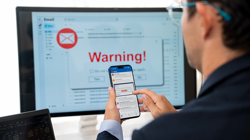 person visiting scam website