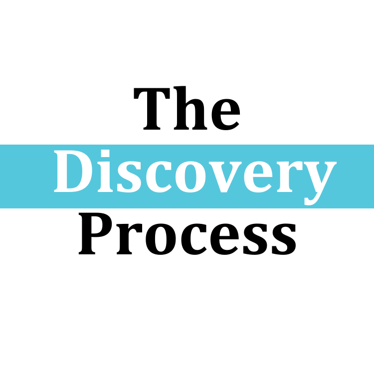 The Discovery Process
