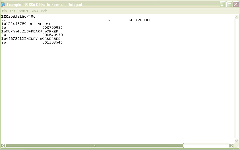 Example of Federal IRS/SSA Diskette Format